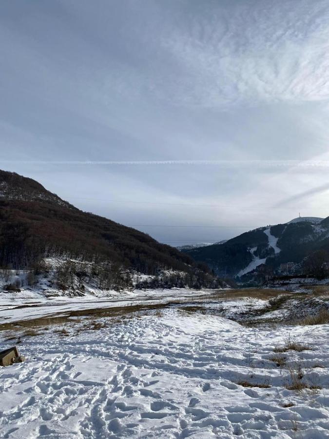 Cece'S Home Mavrovo Eksteriør billede